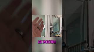 Massive Blackout Shades Block ALL Light: See the HUGE Difference!