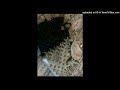 bleood x boolymon type beat 2 free for profit