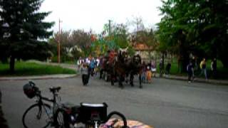DSCN4897.MOV