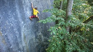 The Face 8A10- Uncut