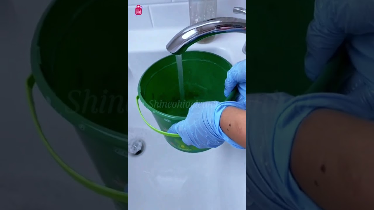 Deep clean your toilet pot with me