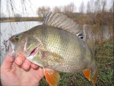 ОНЛАЙН: КОМУ СКУЧНО??? ЗАХОДИ КО МНЕ!!!