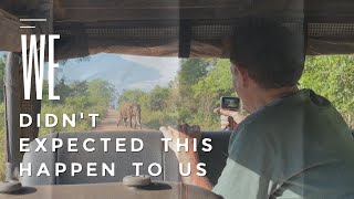 BEST CHASING EXPERIENCE EVER IN SRI LANKA