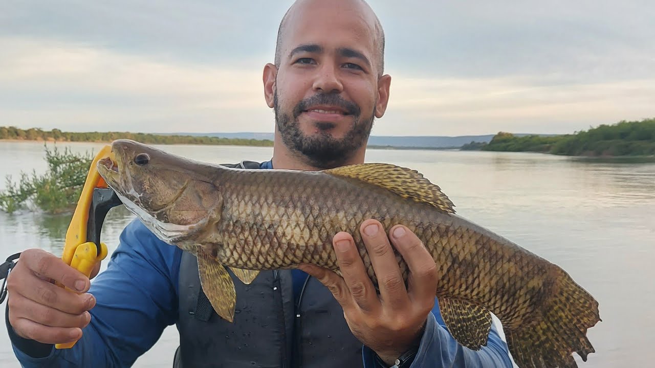 Matrixã PESCARIA - TRAIRÃO, GAVIÃO, DOURADOS, PIRANHAS, MATRIXÃ, PACU - RIO SÃO ...
