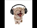Cat fm radio ad