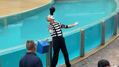 Lynn The SeaWorld Mime 10.13.21