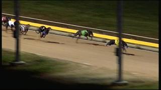 WGL TUE 11 APR 17 R12