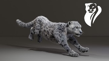 Snow Leopard Animation Reel I Blender 3D I Walk and Run Cycle