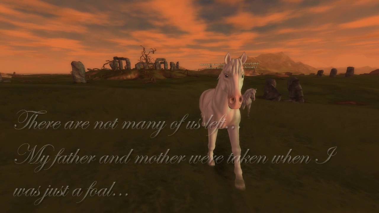 Wild Soul   Short Movie   SSO