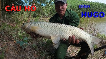 ĐI CÂU HỒ SAU MẤY NGÀY RÉT ĐẬM -DÍNH TOÀN CÁ TO - Camera Thợ Rừng .