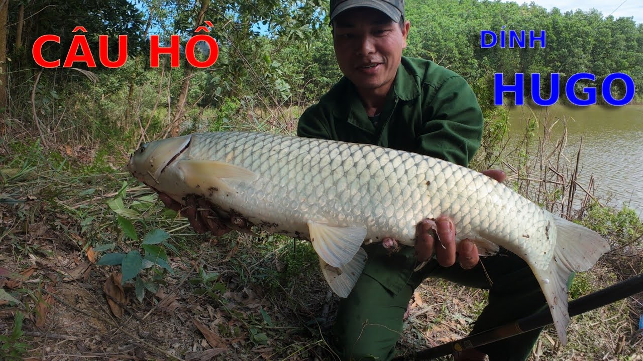 ĐI CÂU HỒ SAU MẤY NGÀY RÉT ĐẬM -DÍNH TOÀN CÁ TO - Camera Thợ Rừng .