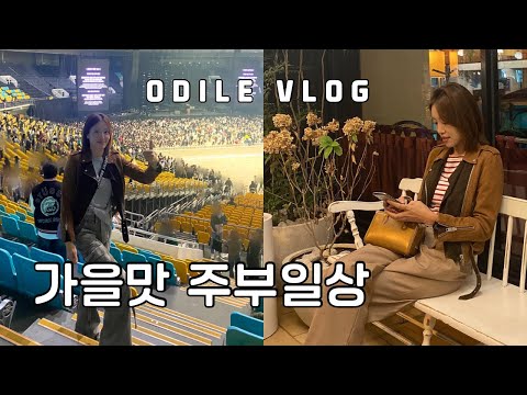 I am 가을타요🍂찰리의 노래교실🎤10월의 다꾸 스꾸 일단꾸🗓️🖍️찬바람 불 땐 런치🍽️초등맘 오딜 <strong>odile</strong> VLOG