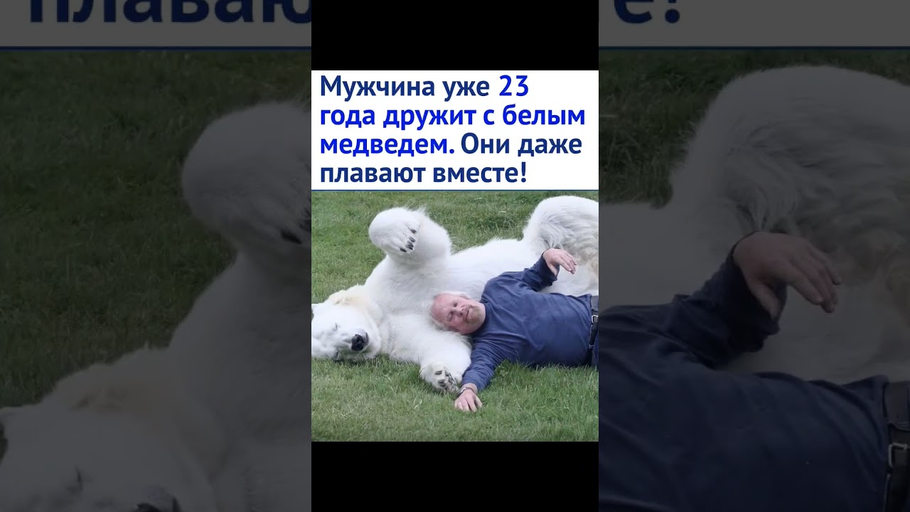 Реклама дружить по русски девочка с медведем