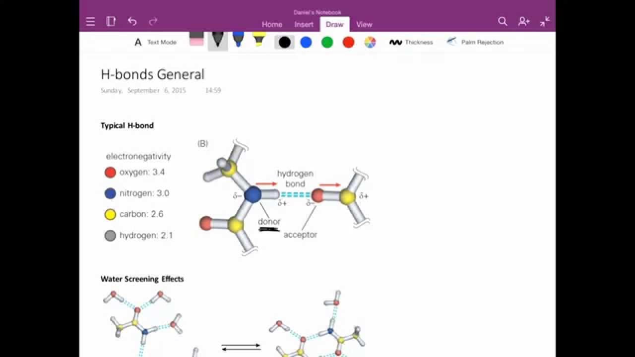 Hydrogen Bonding and Its Role in Protein and DNA Structure