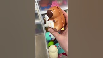 I bet you don’t have 10 capybara fidgets?! @MrsBench