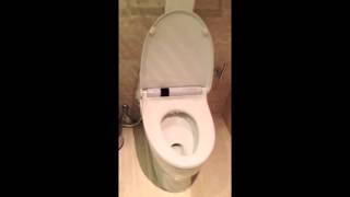 Brian May Hello Toilet ! - 16 July 2014