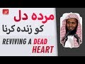 Reviving A Dead Heart Sheikh Mansour Al Salimi 