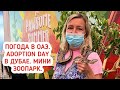 Погода в ОАЭ. Adoption day в Дубае. Кафе в IKEA. Мини зоопарк в Dubai Festival Plaza.