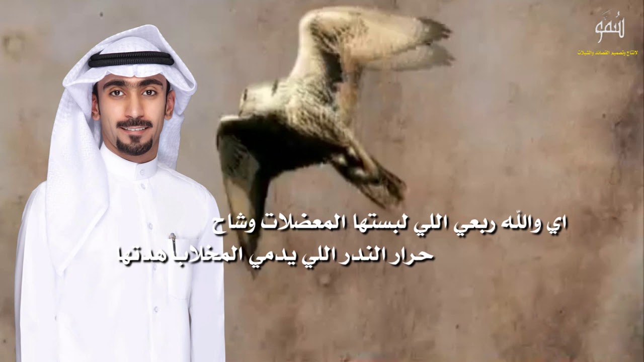 إهداء الى فالح بن تويم البغيلي  بمناسبة زواجه كلمات محمد عياد البغيلي أداء صوت الجزيرة مهنا العتيبي