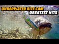 Underwater Fish Bites Greatest Hits (+Underwater Cam tips)