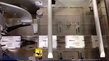 Packaging Plastic Molded Pieces - SleekWrapper 65 horizontal flow wrapper