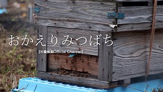おかえりみつばち【杉養蜂園Official Channel】