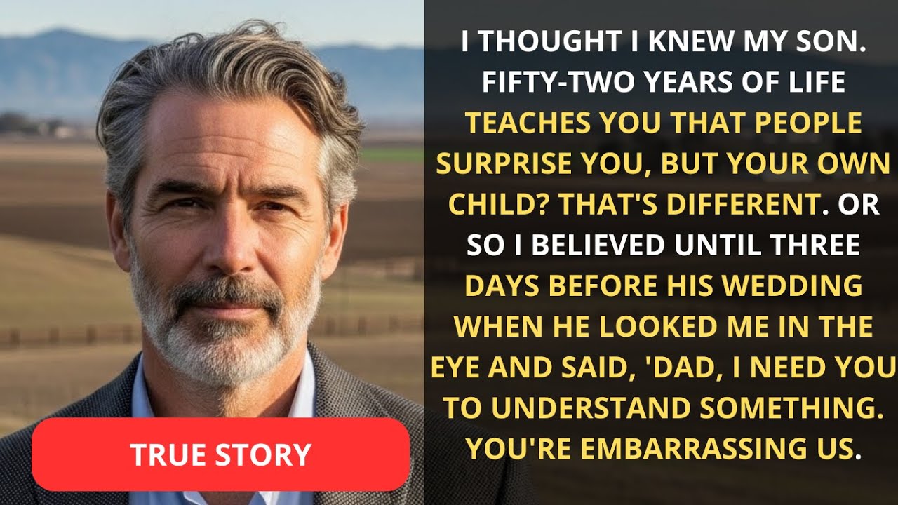 My Son Said I Was Ruining His Wedding — The Morning After, His Lawyer Called Me First...