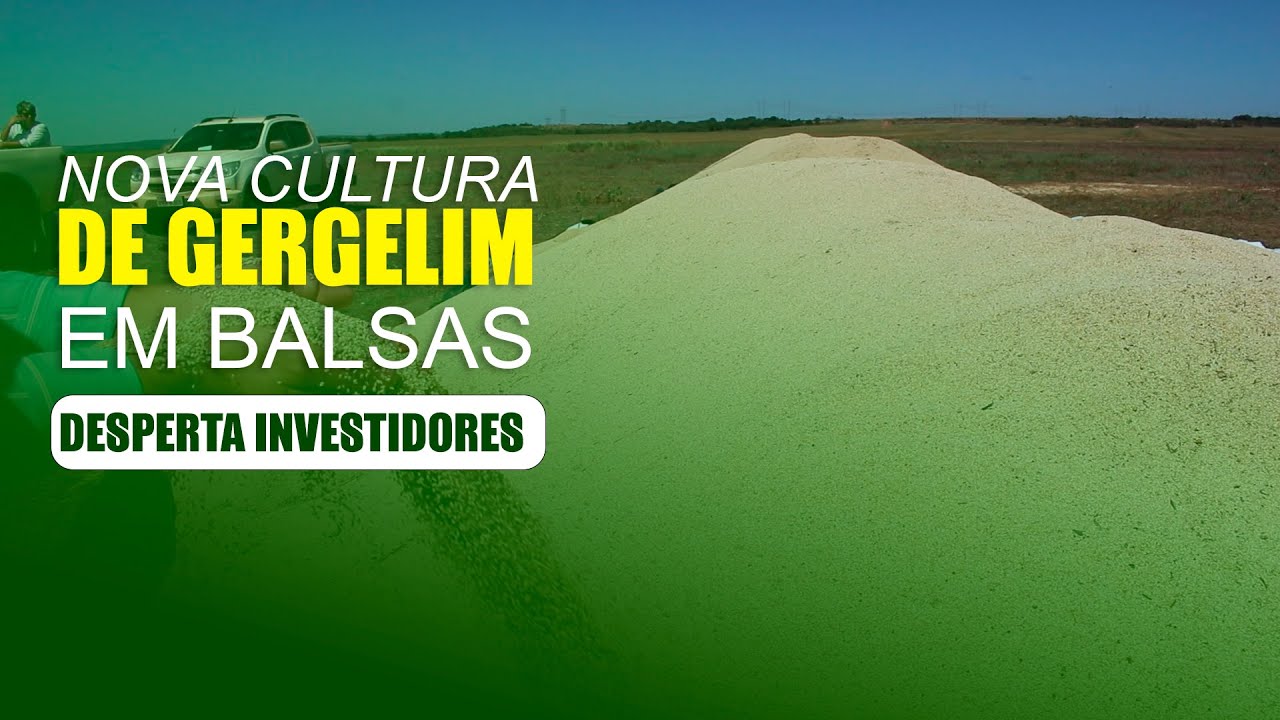 PRODUÇÃO DE GERGELIM