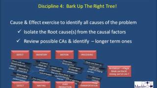 Macklin Consulting Video Series - Eight Disciplines of Problem Solving.wmv