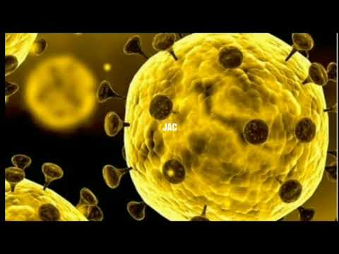 virus-corona-dan-penyebab-nya