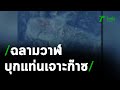 ฉลามวาฬบุกแท่นเจาะก๊าซกลางอ่าวไทย | 10-02-64 | ห้องข่าวหัวเขียว