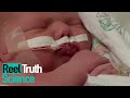 Baby&#39;s First Day | S01 E02 | ReelTruth Sceince