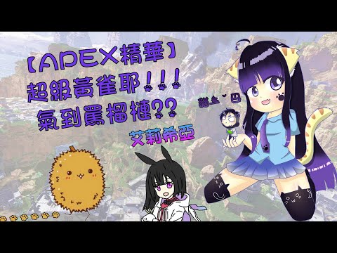 【APEX精華】超級黃雀耶!!!氣到罵榴槤??