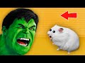 🤢 HULK - Hamster Maze with Traps 💀 [OBSTACLE COURSE]