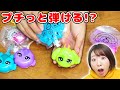 プチっと弾けてスクイーズ!?w 簡単にぷにぷにスクイーズが作れるサプライズトイが面白すぎた！！【レインボージェリー】