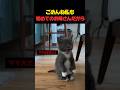 ごめんね私も初めてのお母さんだから
