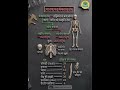 Human Skeleton System Full Explained 🔥| Body Bones Name in Hindi #SkeletalSystem #HumanBody #shorts
