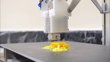 Treefrog on Kappa 3D printer at 75 microns