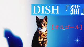 1時間耐久】猫/DISH//【オルゴール】 - YouTube
