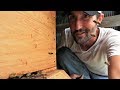 How to Capture A Honey Bee Swarm Easy! + Warre Hive Update