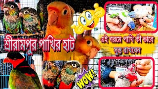 RECENT ALL BIRDS PRICE UPDATE IN SHRIRAMPUR PET MARKET || KOLKATA PET MARKET || #birds