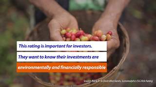 Rabobank Earns Top Spot In Global Sustainability Ranking