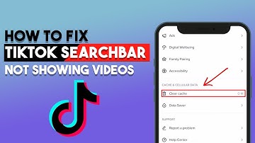 How To Fix Tiktok Search bar Not Showing Videos