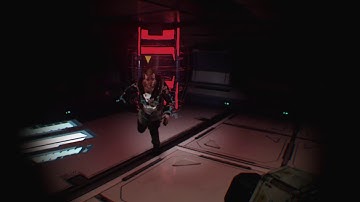 The Persistence - A Bundle of Limbs