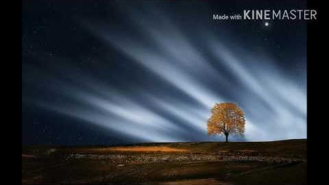 مؤيد جاسم  سورة المطففين تلاوة رائعة جدا