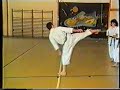 Geri waza karate shotokan luis mara sanz