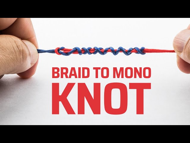 Specimen Fishing Tips  The best knot for tying braid to fluoro
