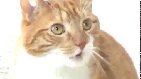 Shortest Video on Youtube Part 6