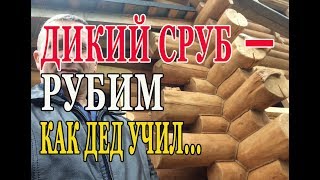 Настоящая Ручная рубка Дикого Сруба. Освежаем память предков...