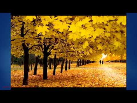 შემოდგომა,  ოქტომბერი